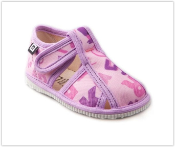 Zvětšit Rak škola růžová